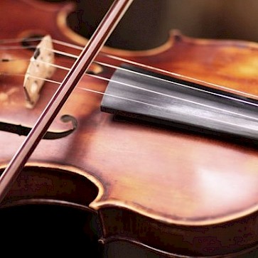 Serviços especializados