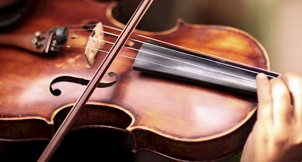 Serviços especializados