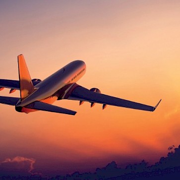 Trasladações internacionais e nacionais