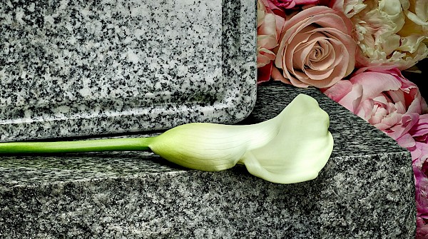 Sepulturas e Jazigos